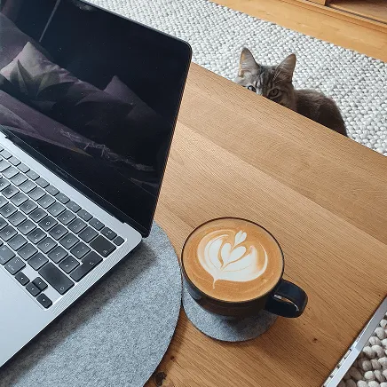 Latte art with cat